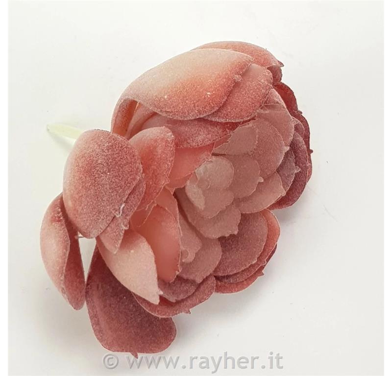 Dekorativno zelenje, rdeči netresk odprt