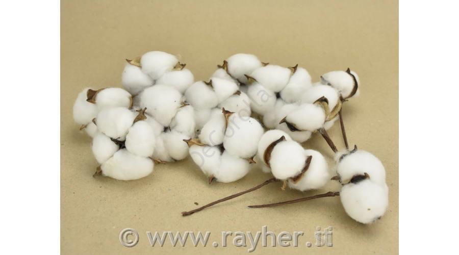 Cotton flower, 6cm 1 pcs