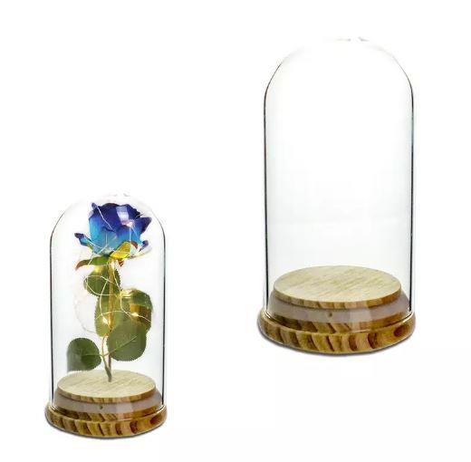 Steklena kupola z lesenim podstavkom