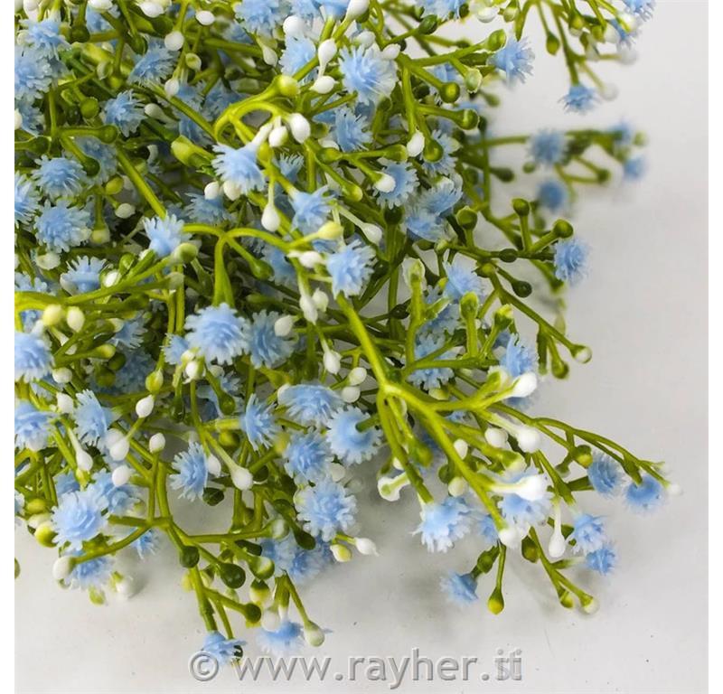 Bouquet di gypsophila blu