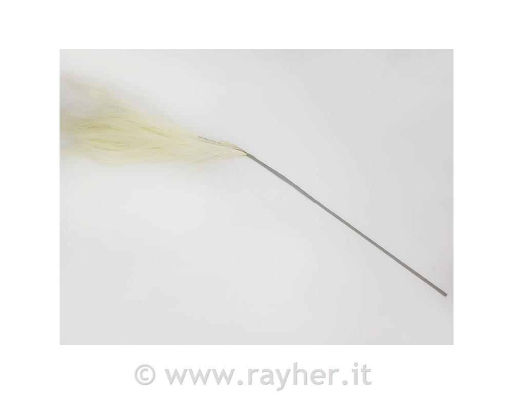 Pampasova trava krem 75cm