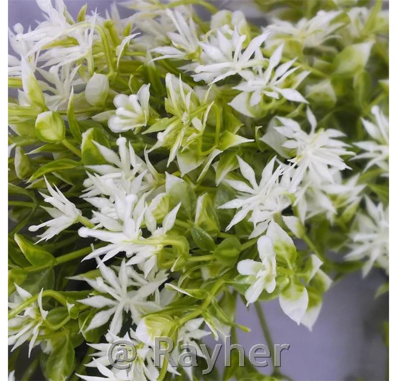 Ghirlanda con fiori bianchi, 33 cm