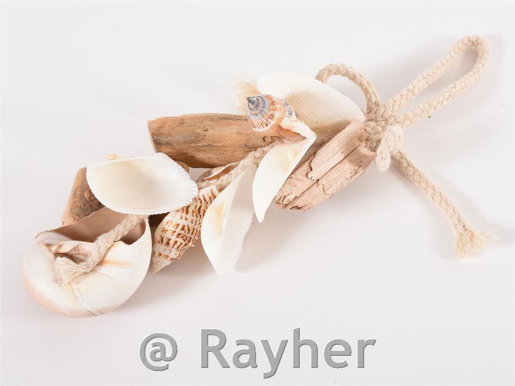 Ghirlanda di conchiglie 28 cm, naturale