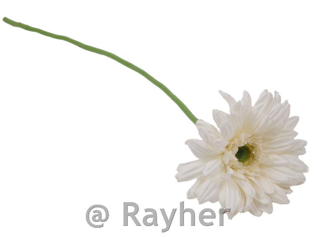 Gerbera bianca, 64 cm