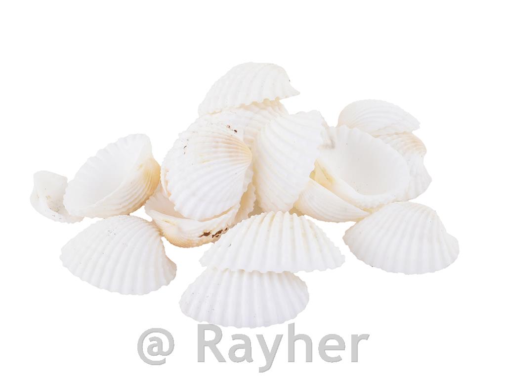 Cozze, naturali/bianche, 300 g