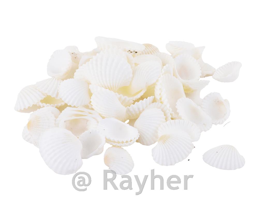 Cozze, mini, naturali/bianche, 500 g