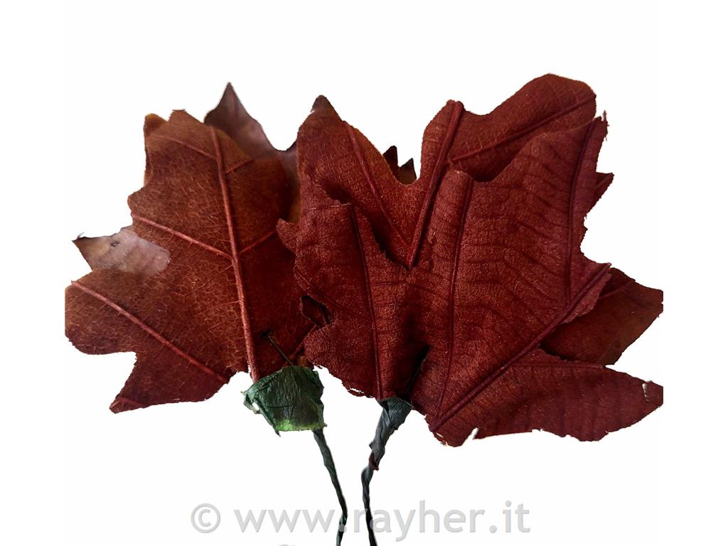 Foglie d'autunno su filo, velluto