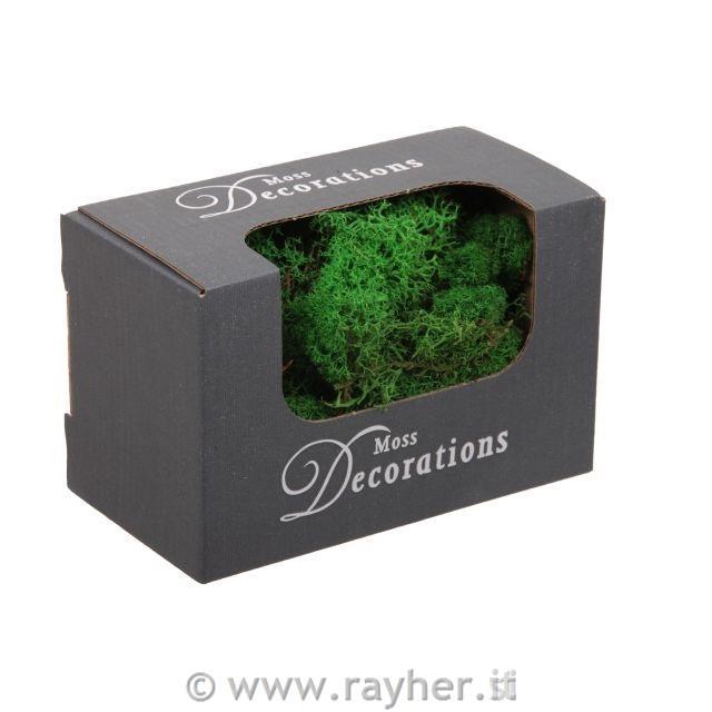 Muschio decorativo 50g, verde