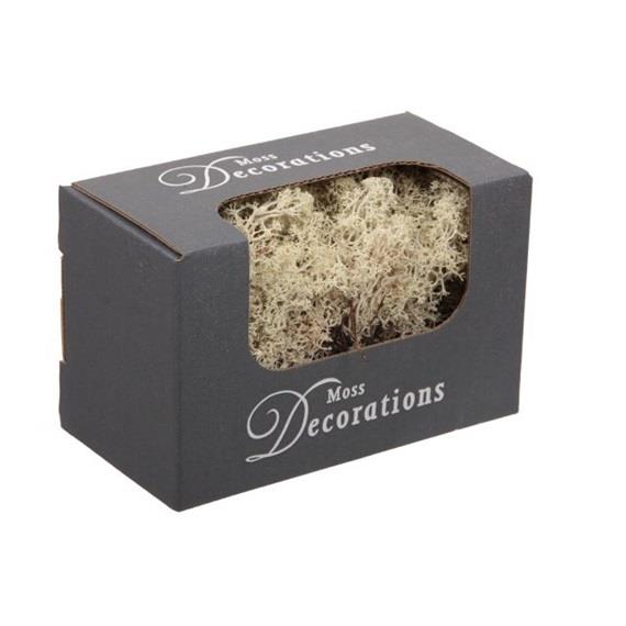 Muschio decorativo 50g, grigio