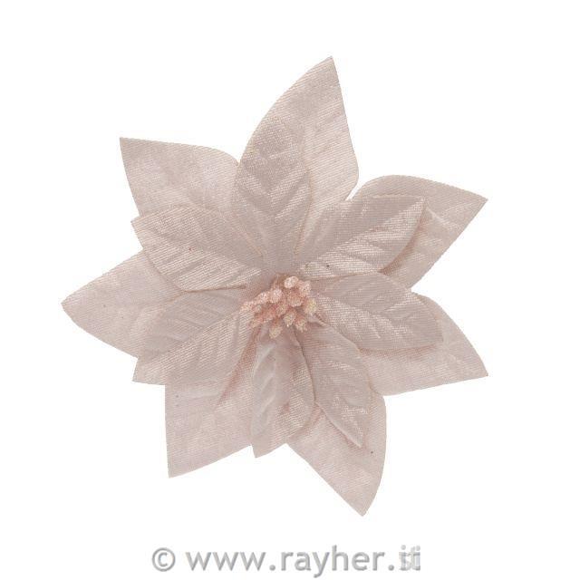 Žametni cvet božične zvezde, 16cm, nežno roza