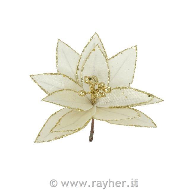 Stella di Natale, 18cm, alba/oro