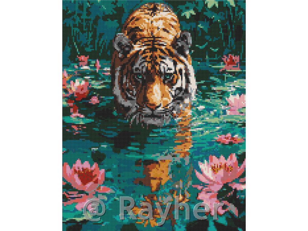 Diamond mosaic, A tiger on the hunt, 40x50 cm