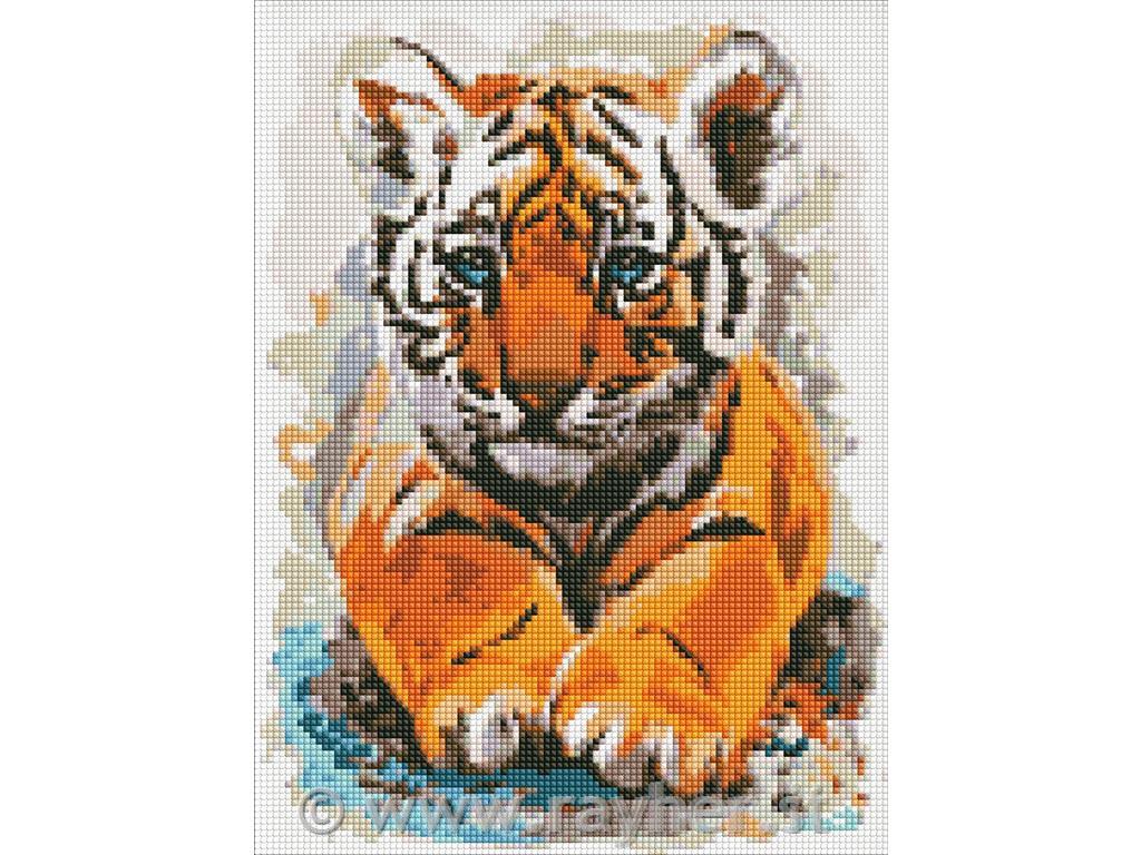 Mosaico di diamanti, Little tiger cub, 30x40 cm