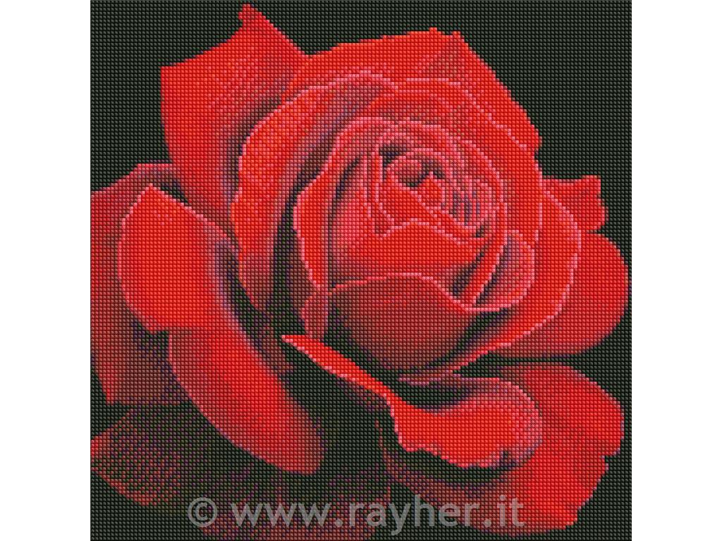 Mosaico di diamanti, Red rose, 40x40 cm