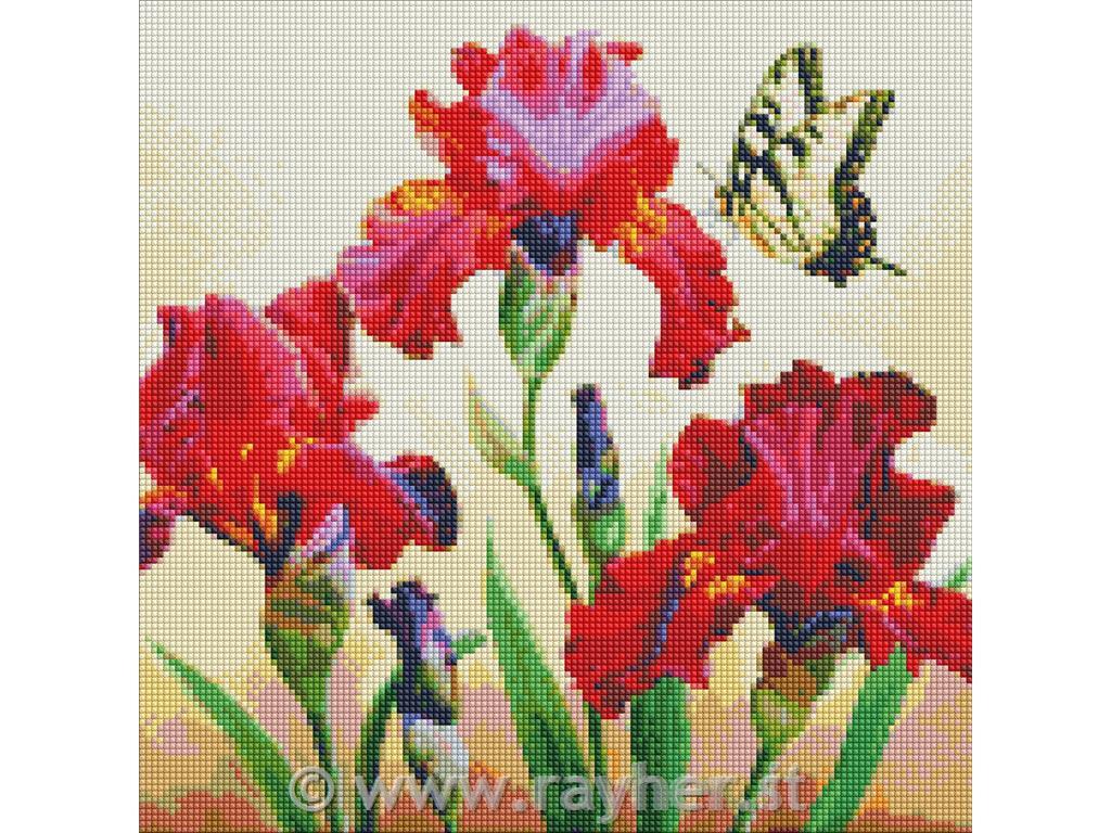Diamantni mozaik, Exquisite irises, 40x40 cm