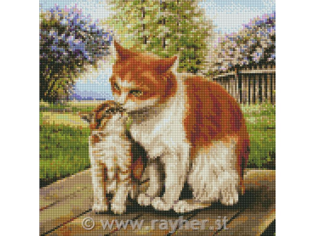 Mosaico di diamanti, Mother's warmth, 40x40 cm