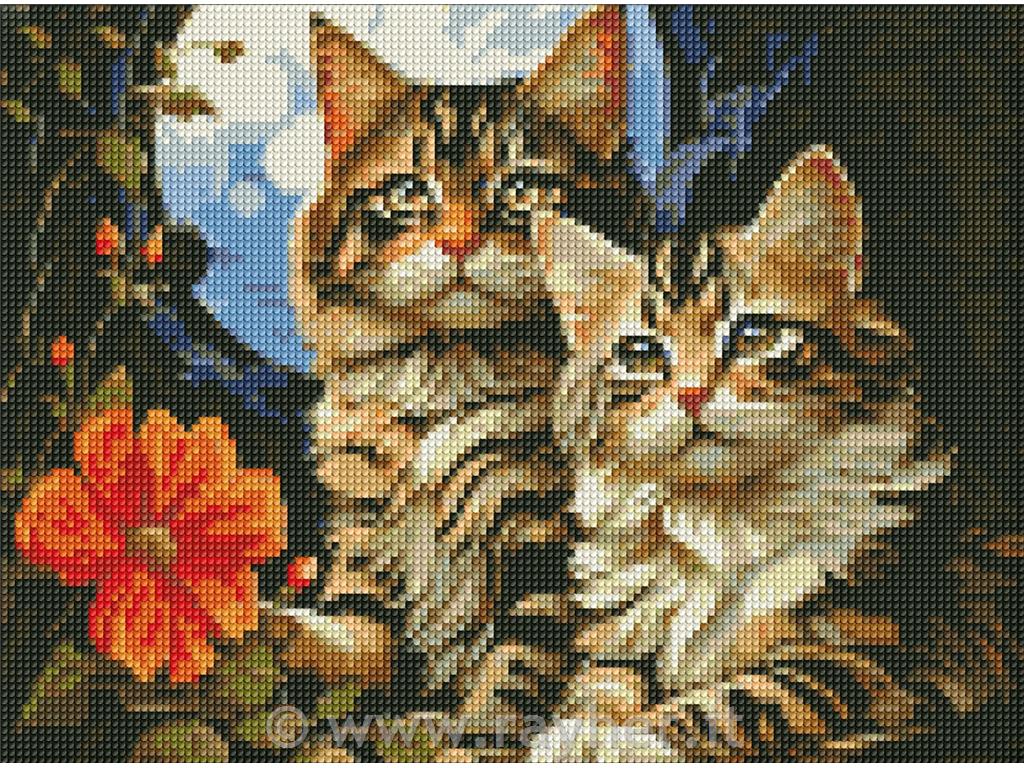 Mosaico di diamanti, Adorable cats, 30x40 cm
