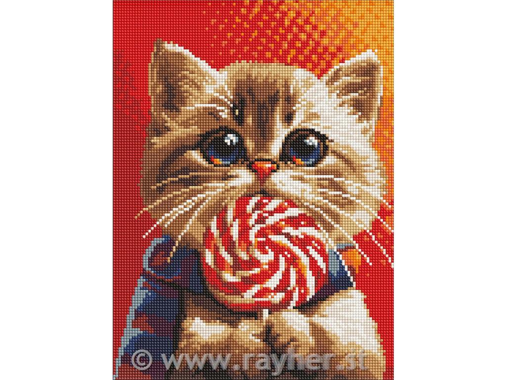Diamantni mozaik, A cat with a candy, 30x40 cm