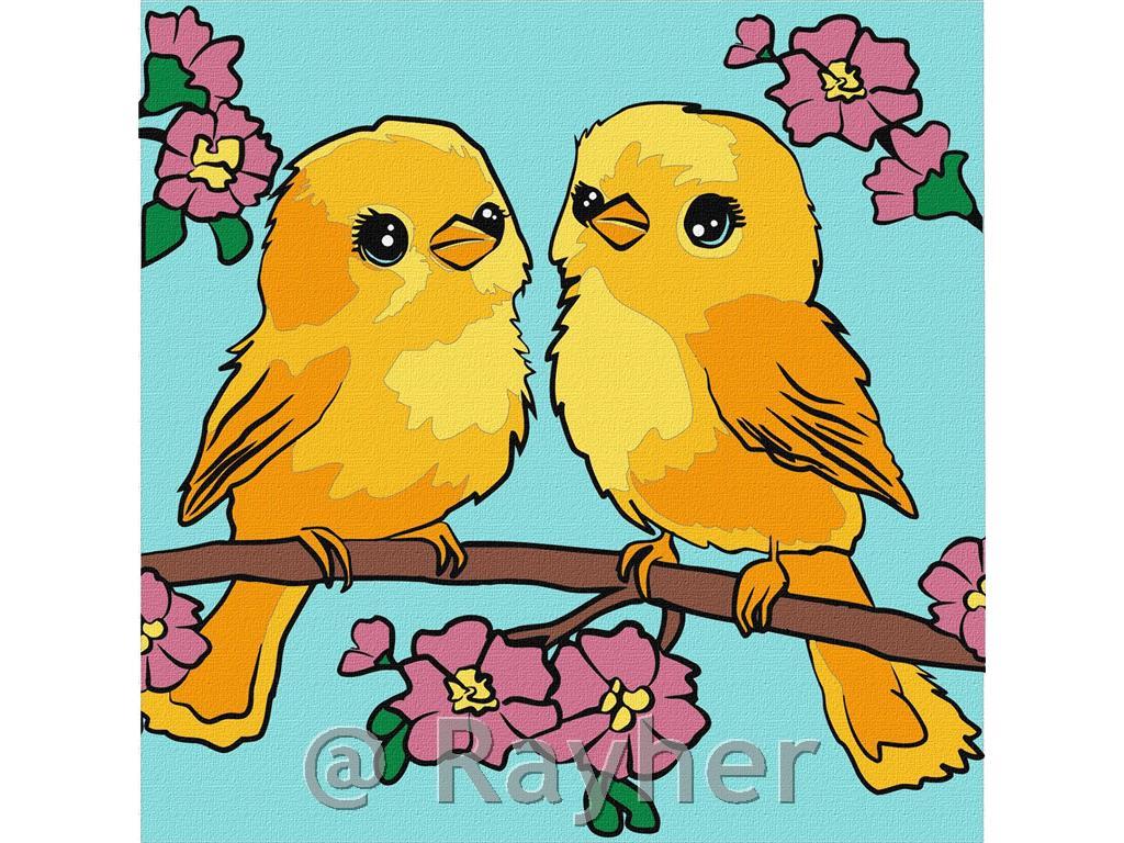 Dipingere con i numeri, Rainbow birds, 25x25 cm