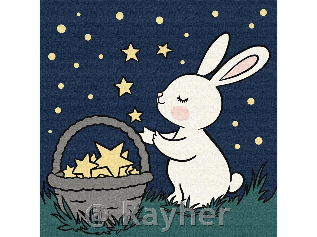 Dipingere con i numeri, Star Catcher, 25x25 cm