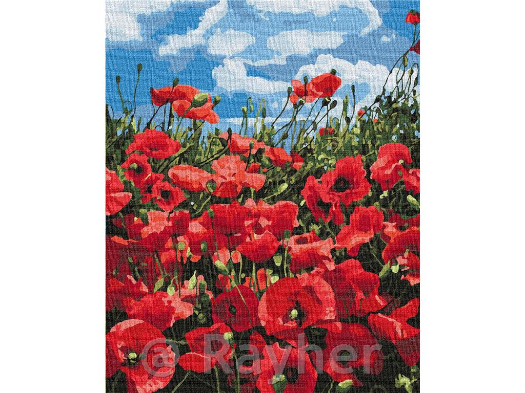 Slikanje po številkah, Divine poppies, 40x50 cm