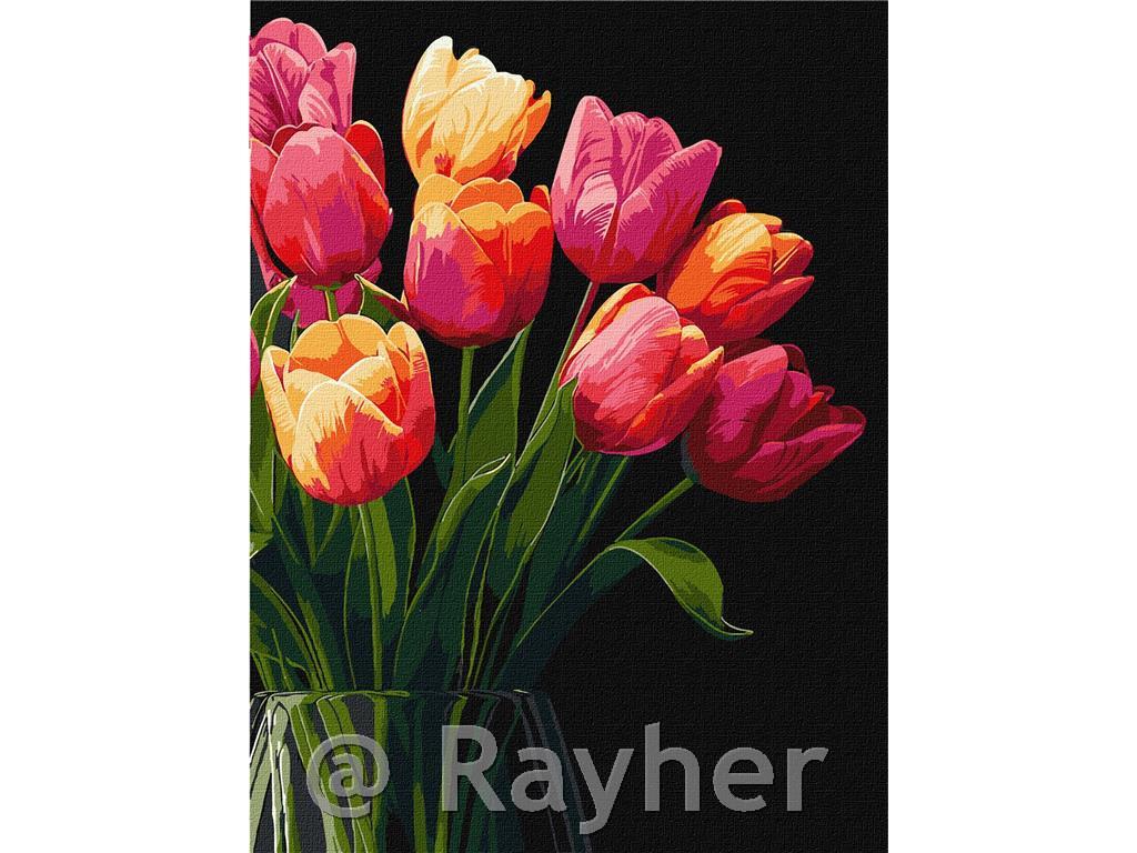 Dipingere con i numeri, Tulips scent, 30x40 cm