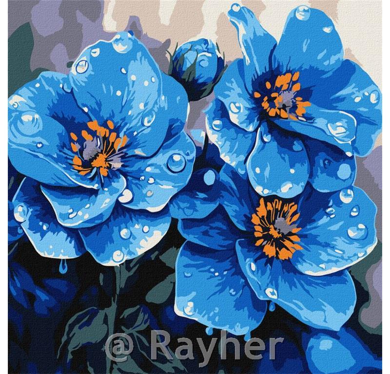 Dipingere con i numeri, Violets every morning, 30x30 cm