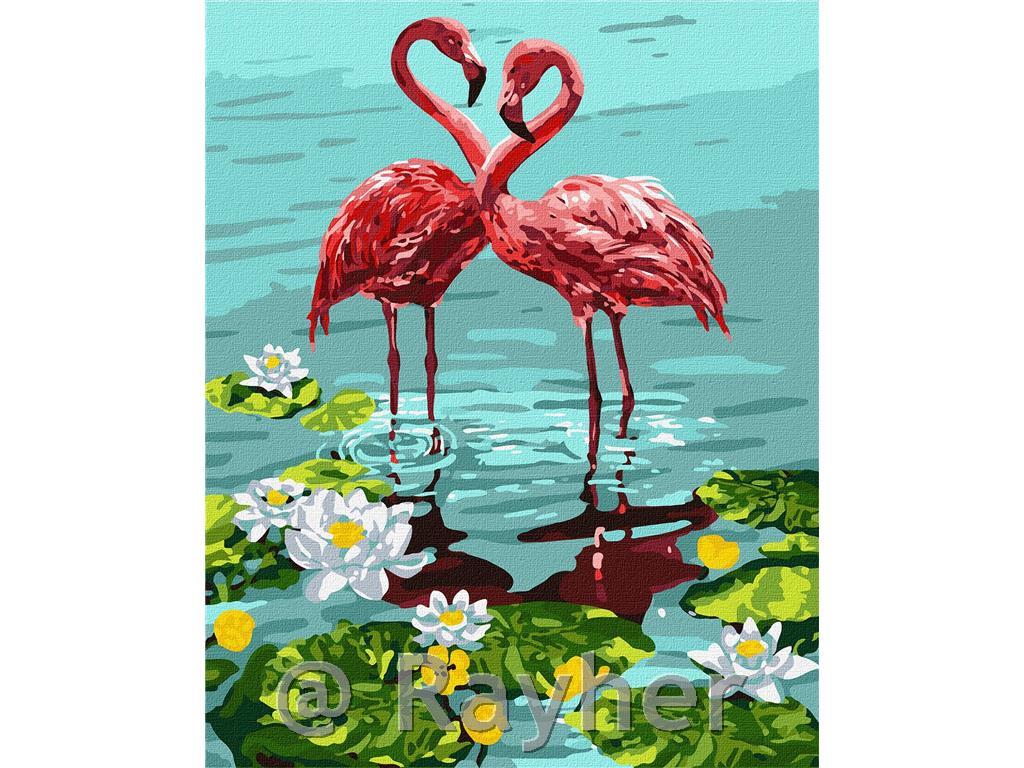 Dipingere con i numeri, Pair of flamingo, 40x50 cm