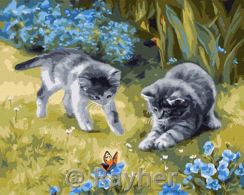 Dipingere con i numeri, Cats in the garden, 40x50 cm