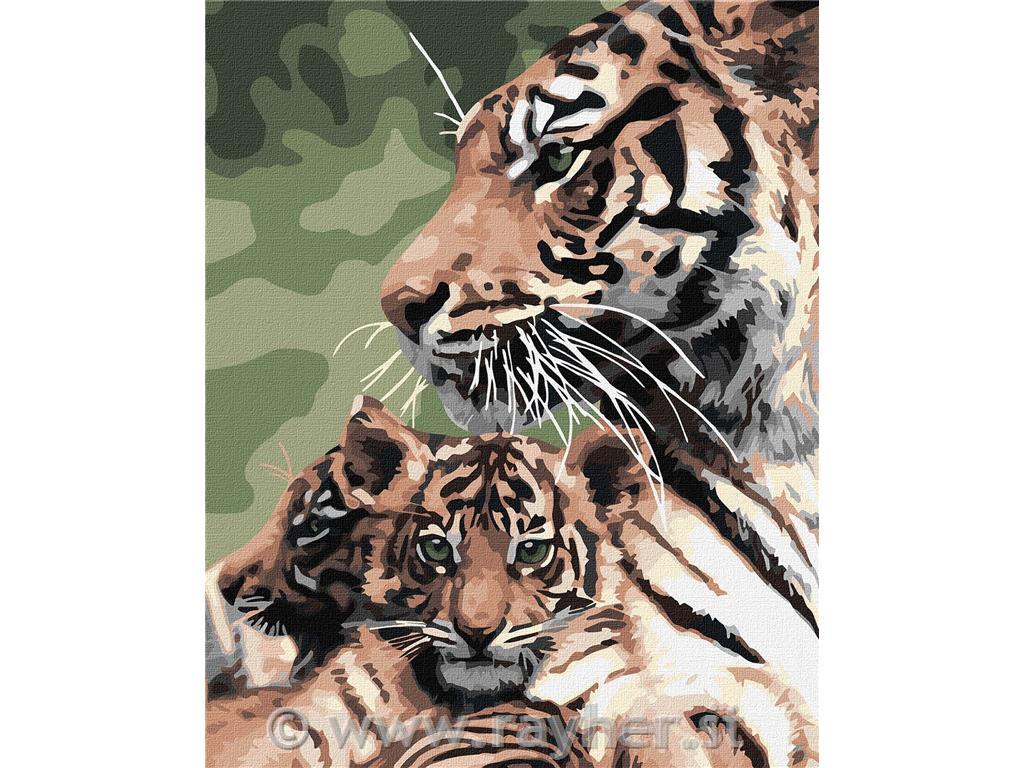 Slikanje po številkah, Striped family, 40x50 cm