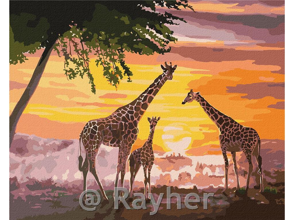 Dipingere con i numeri, A family of giraffes, 40x50 cm