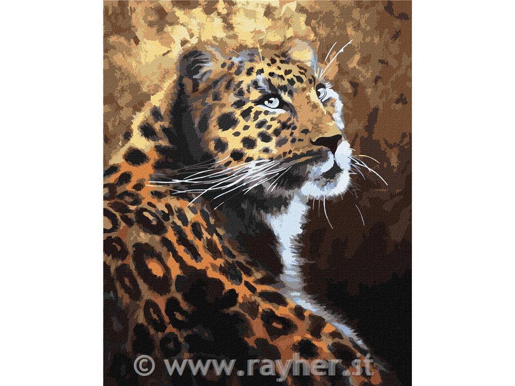 Dipingere con i numeri, A graceful preda, 40x50 cm