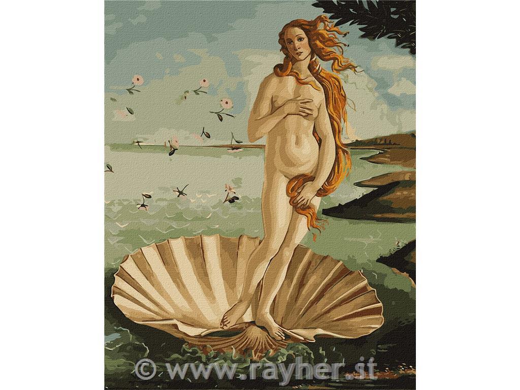 Slikanje po številkah, Birth of Venus, 40x50 cm