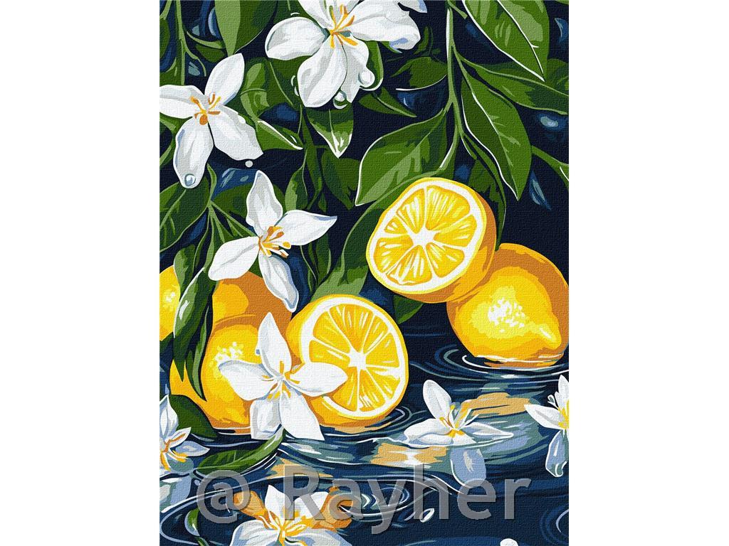 Dipingere con i numeri, Lemon in section, 30x40 cm