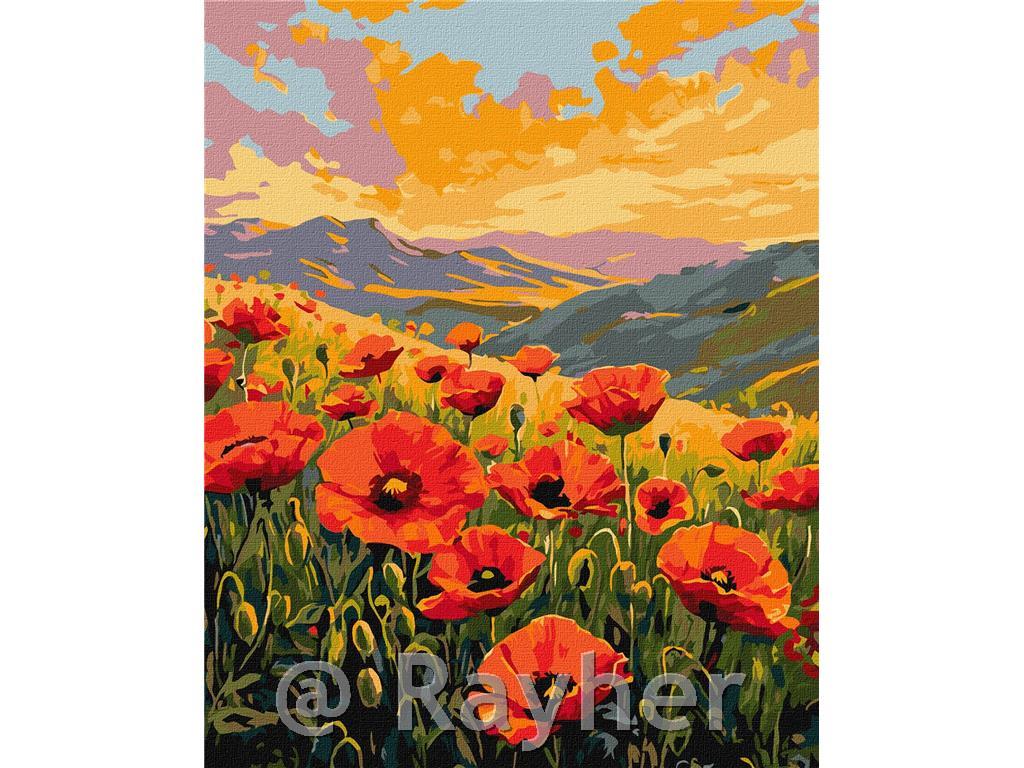 Dipingere con i numeri, Silence among the poppies, 40x50 cm