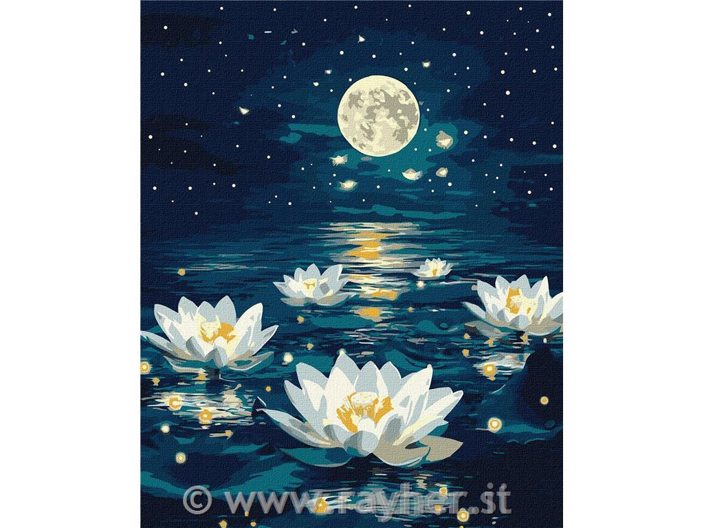 Dipingere con i numeri, Lotus under, 40x50 cm