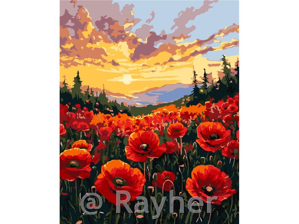 Dipingere con i numeri, A field of poppies, 40x50 cm
