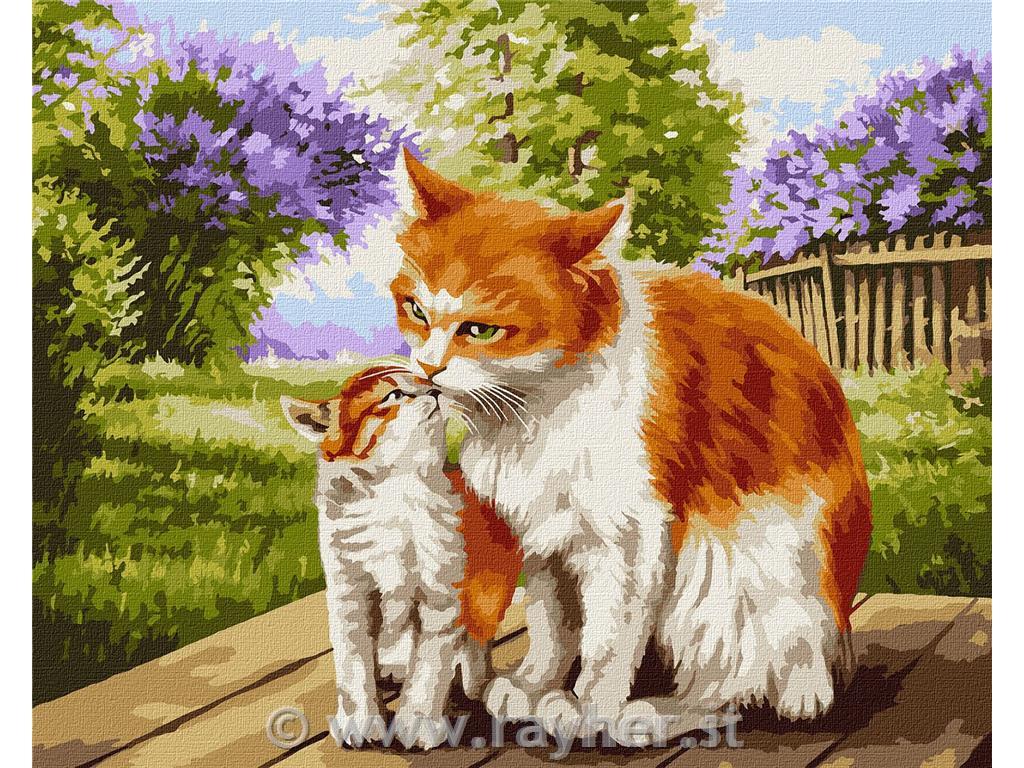 Painting by Numbers, Mother's warmth, 40x50 cm