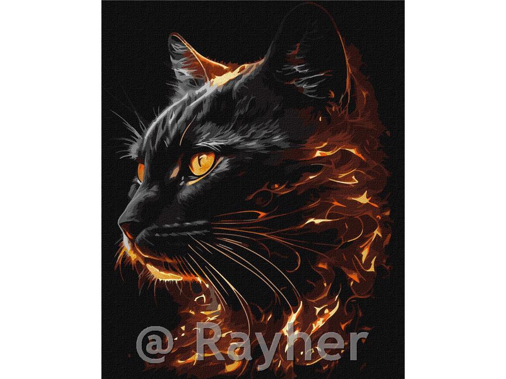 Dipingere con i numeri, Fiery Beauty, 40x50 cm