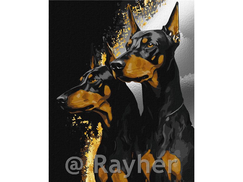 Dipingere con i numeri, Faithful Doberma, 40x50 cm