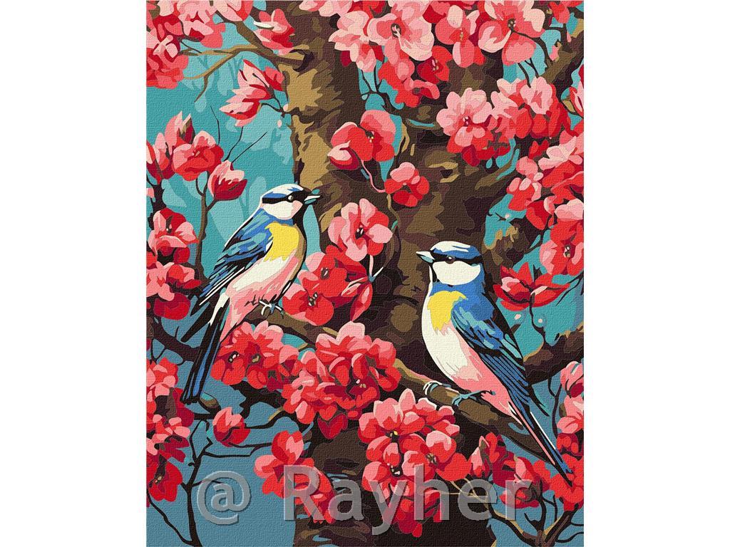 Dipingere con i numeri, The aroma o fblooming, 40x50 cm