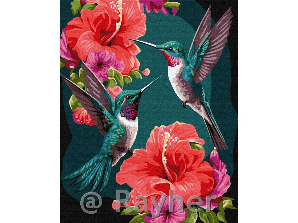 Dipingere con i numeri, Emerald hummingbirds, con colori metallici, 40x50 cm