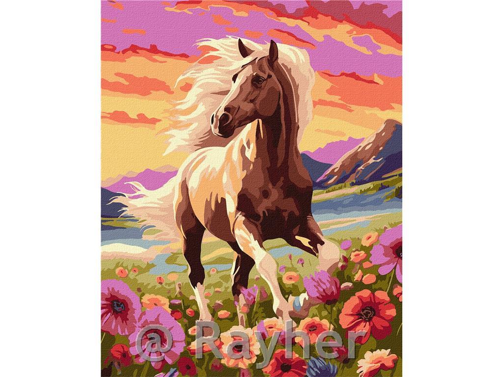 Dipingere con i numeri, A graceful horse, 40x50 cm
