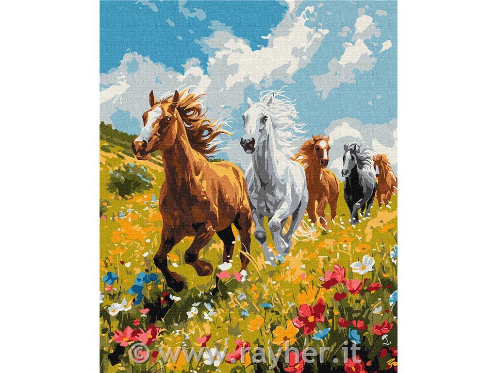 Dipingere con i numeri, Harmony in the f, 40x50 cm