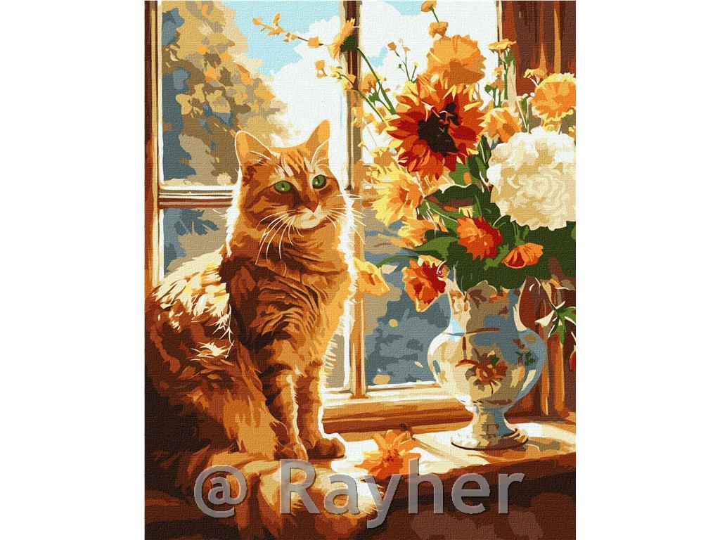 Dipingere con i numeri, Red kitty, 40x50cm