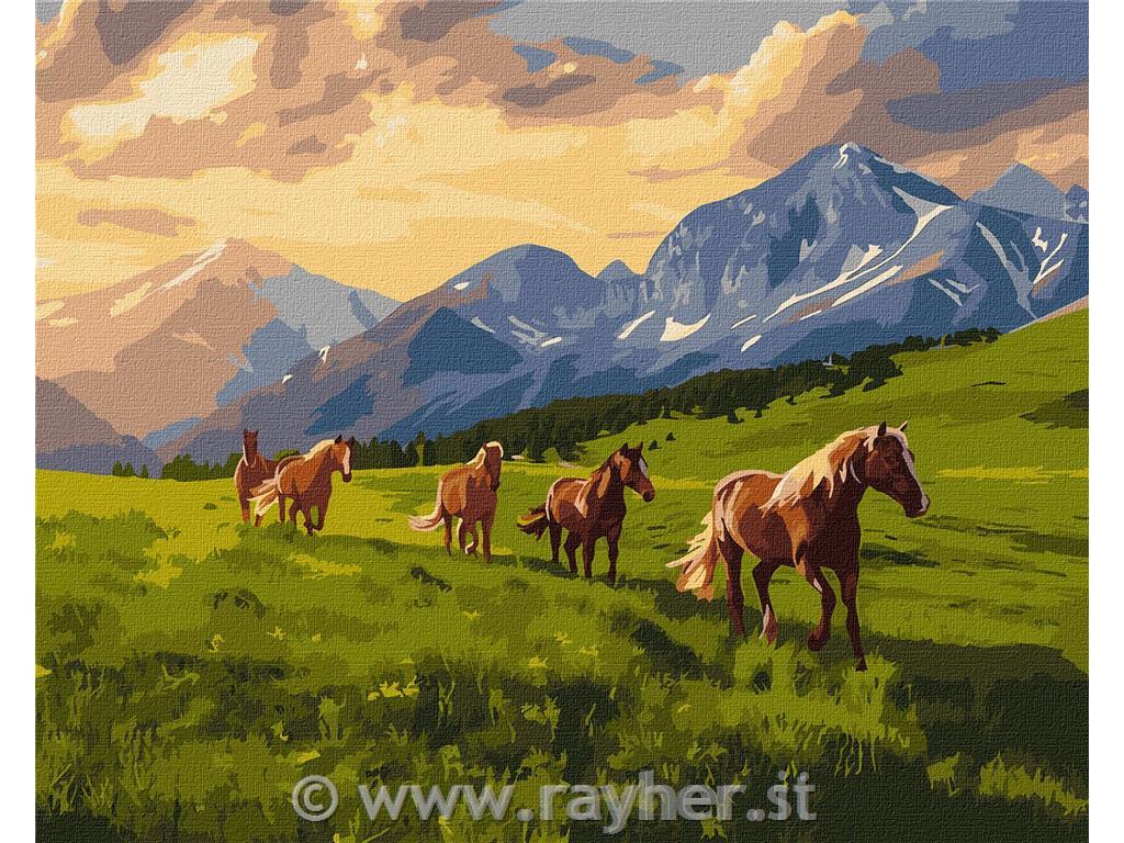 Slikanje po številkah, Free spirits, 40x50 cm