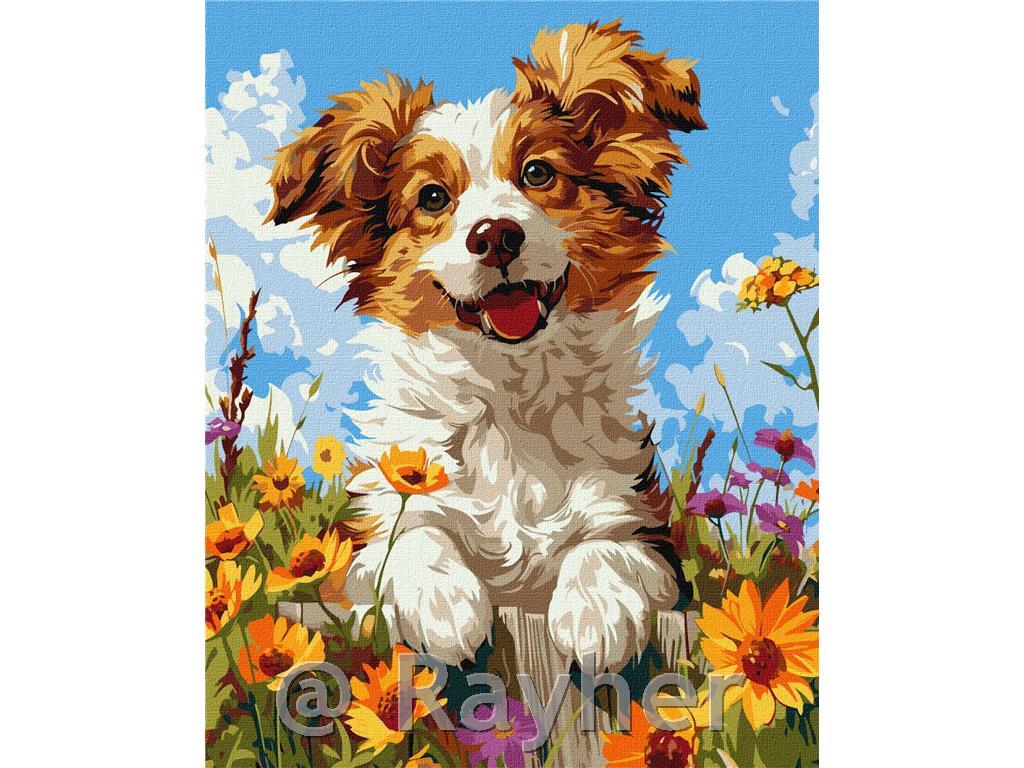 Dipingere con i numeri, A dog in flowers, 40x50 cm