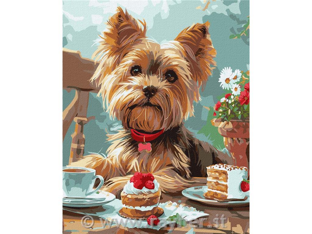 Dipingere con i numeri,Yorkie's tea part, 40x50 cm