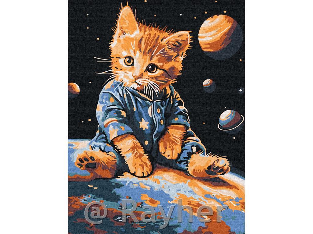 Dipingere con i numeri, Star kitten, 30x40 cm