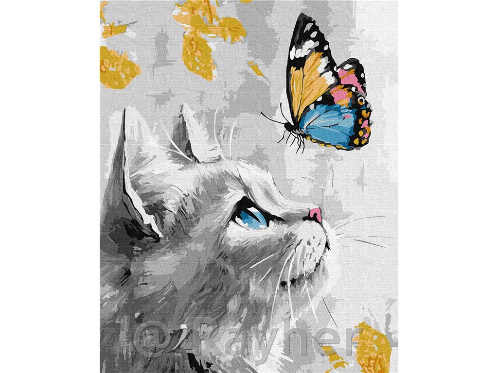 Dipingere con i numeri, Dreamy kitten, 40x50 cm